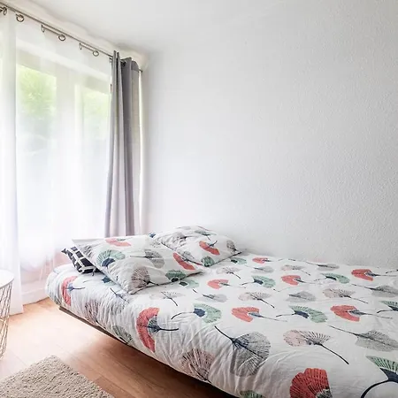 Apartment Sapi Happy Sunny Flat With A Garden Chamonix